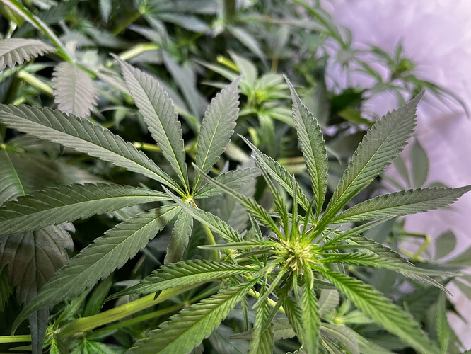 Growreport Bild 15