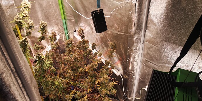Growreport Bild 3