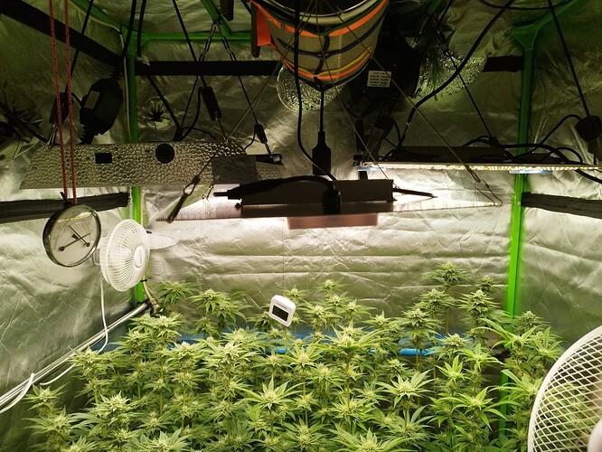 Growreport Bild 17