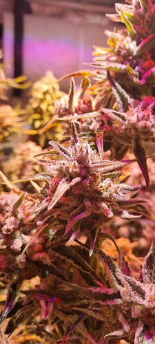Growreport Bild 24