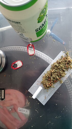 Growreport Bild 74