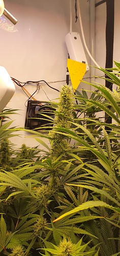 Growreport Bild 3
