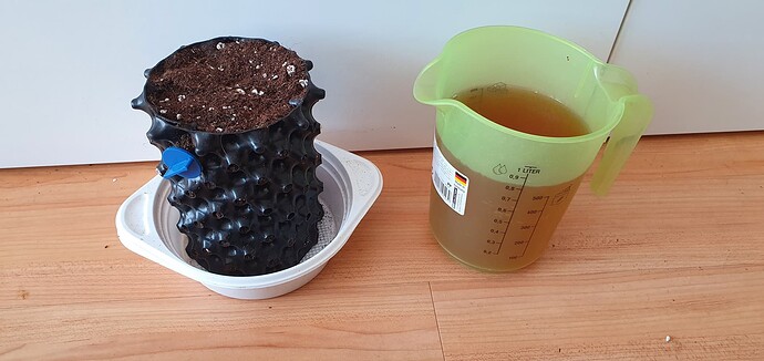 Growreport Bild 10