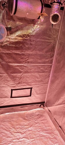 Growreport Bild 2