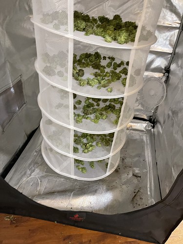 Growreport Bild 56