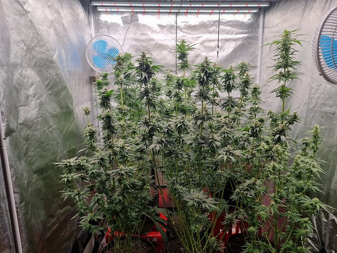 Growreport Bild 6