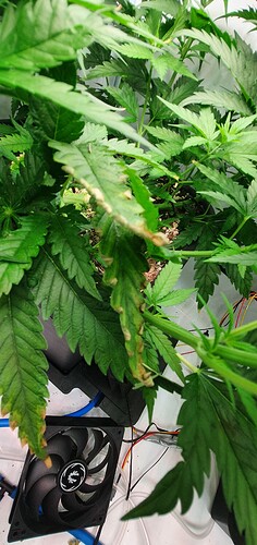 Growreport Bild 23