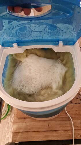Growreport Bild 8