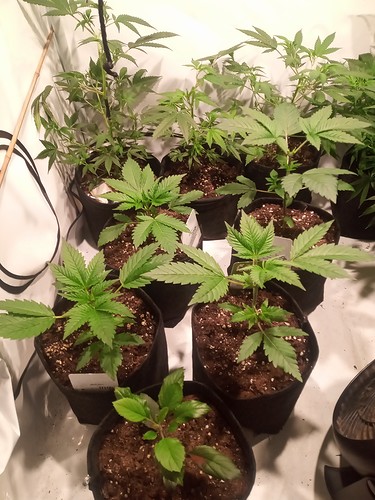 IMG_20210314_221551_641