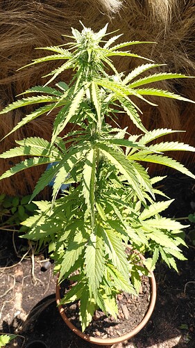 Growreport Bild 4