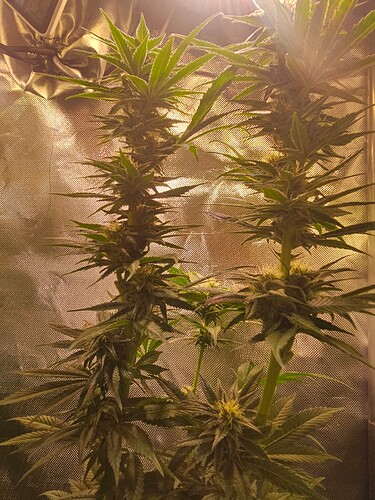 Growreport Bild 9