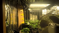 Growreport Bild 12
