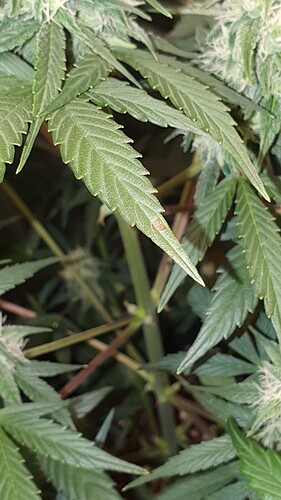 Growreport Bild 10