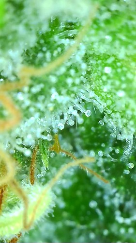 Growreport Bild 21