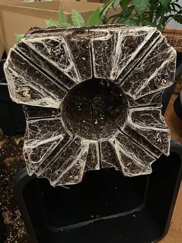 Growreport Bild 11