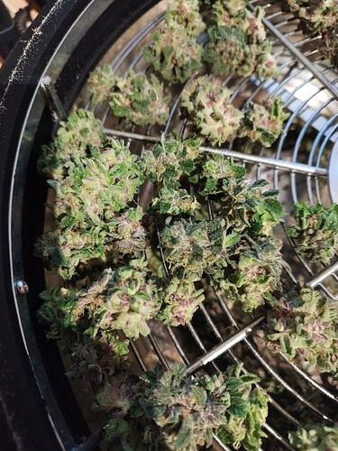 Growreport Bild 15