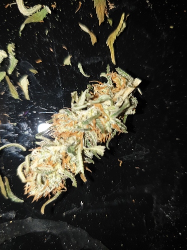 Growreport Bild 2