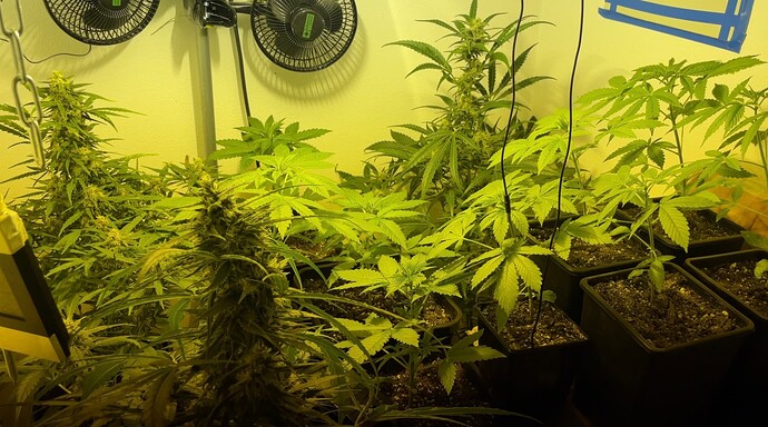 Growreport Bild 18