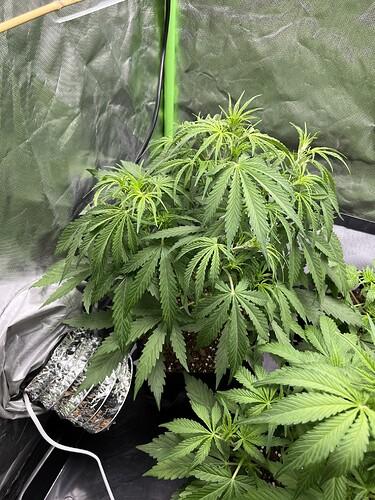 Growreport Bild 7