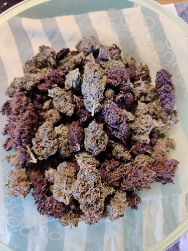 Growreport Bild 39