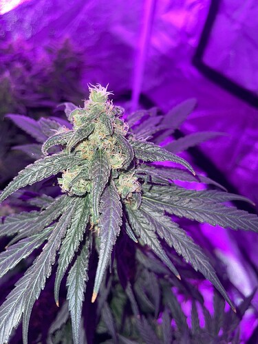 Growreport Bild 14