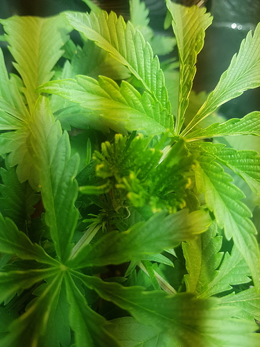 Growreport Bild 21