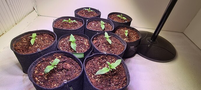 Growreport Bild 18