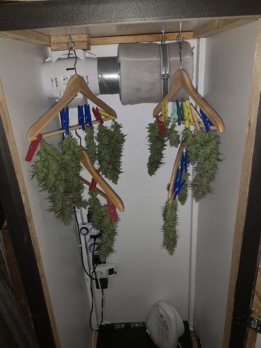 Growreport Bild 8