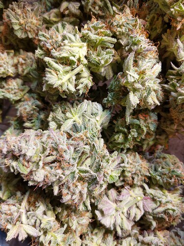 Growreport Bild 2