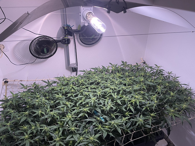 Growreport Bild 10