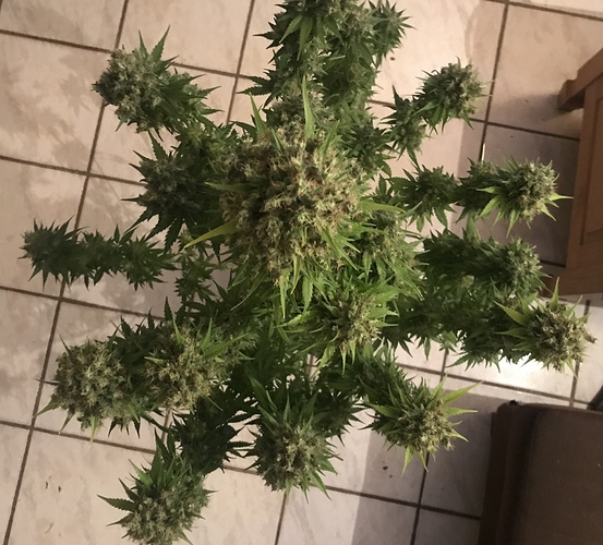 Growreport Bild 30