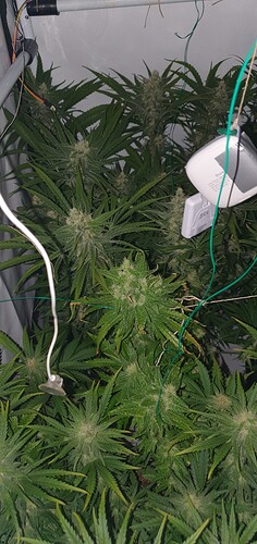 Growreport Bild 6