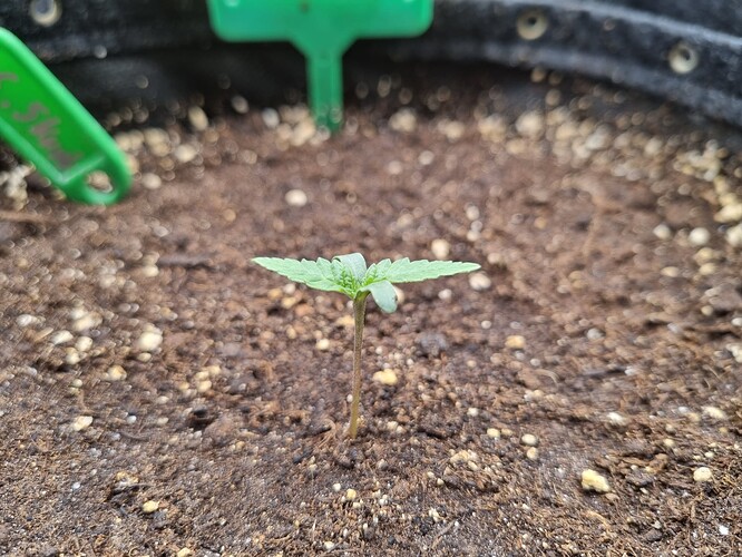 Growreport Bild 23