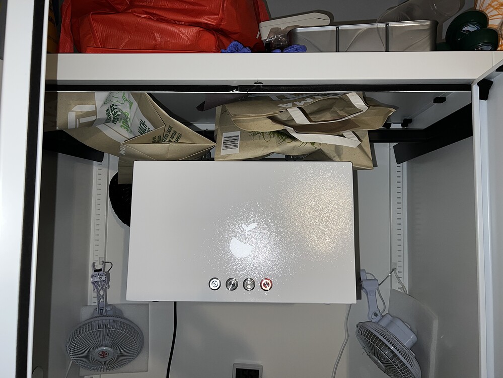 270 Watt Grow in der Hazelbox - Lemon Shining Silver Haze // Somango XL
