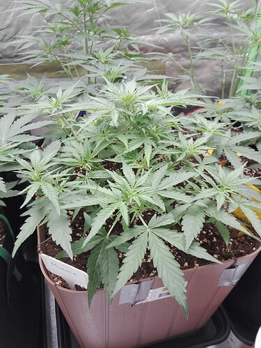 Growreport Bild 10