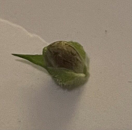 Growreport Bild 13