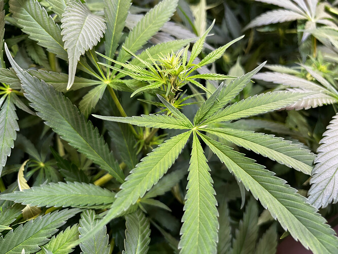 Growreport Bild 16