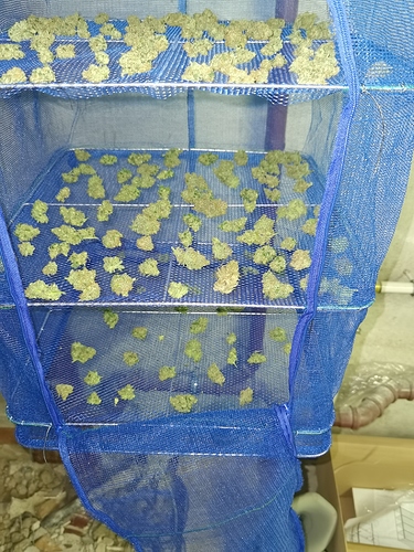 Growreport Bild 16