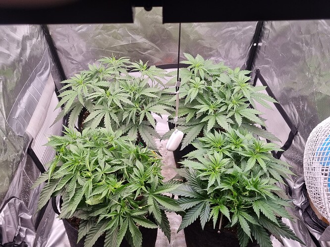 Growreport Bild 23