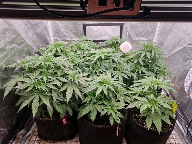 Growreport Bild 16