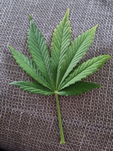 Growreport Bild 16