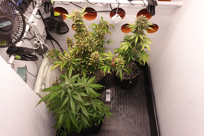 Growreport Bild 3