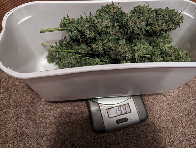 Growreport Bild 25