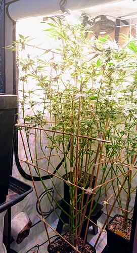 Growreport Bild 18