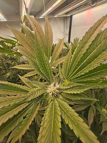 Growreport Bild 14