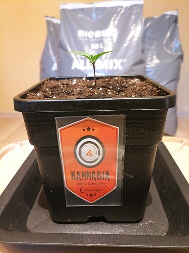 Growreport Bild 13