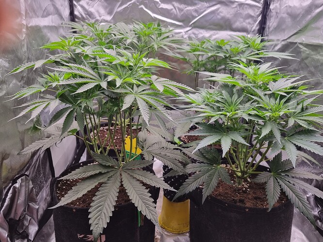 Growreport Bild 10