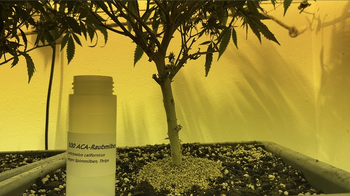 Growreport Bild 4