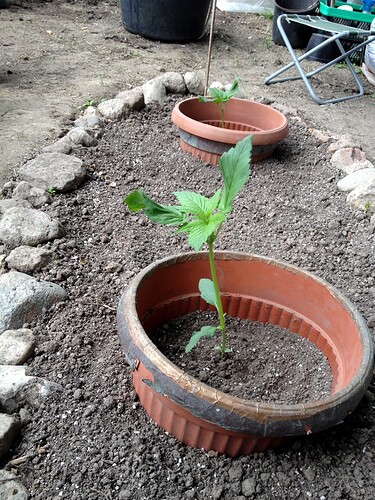 Growreport Bild 12