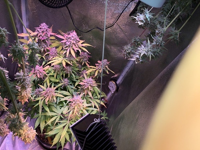 Growreport Bild 15